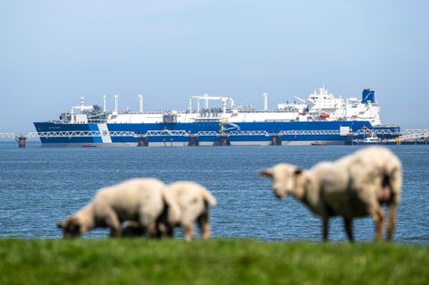 Spezialschiff "Excelsior", schwimmendes LNG-Terminal
