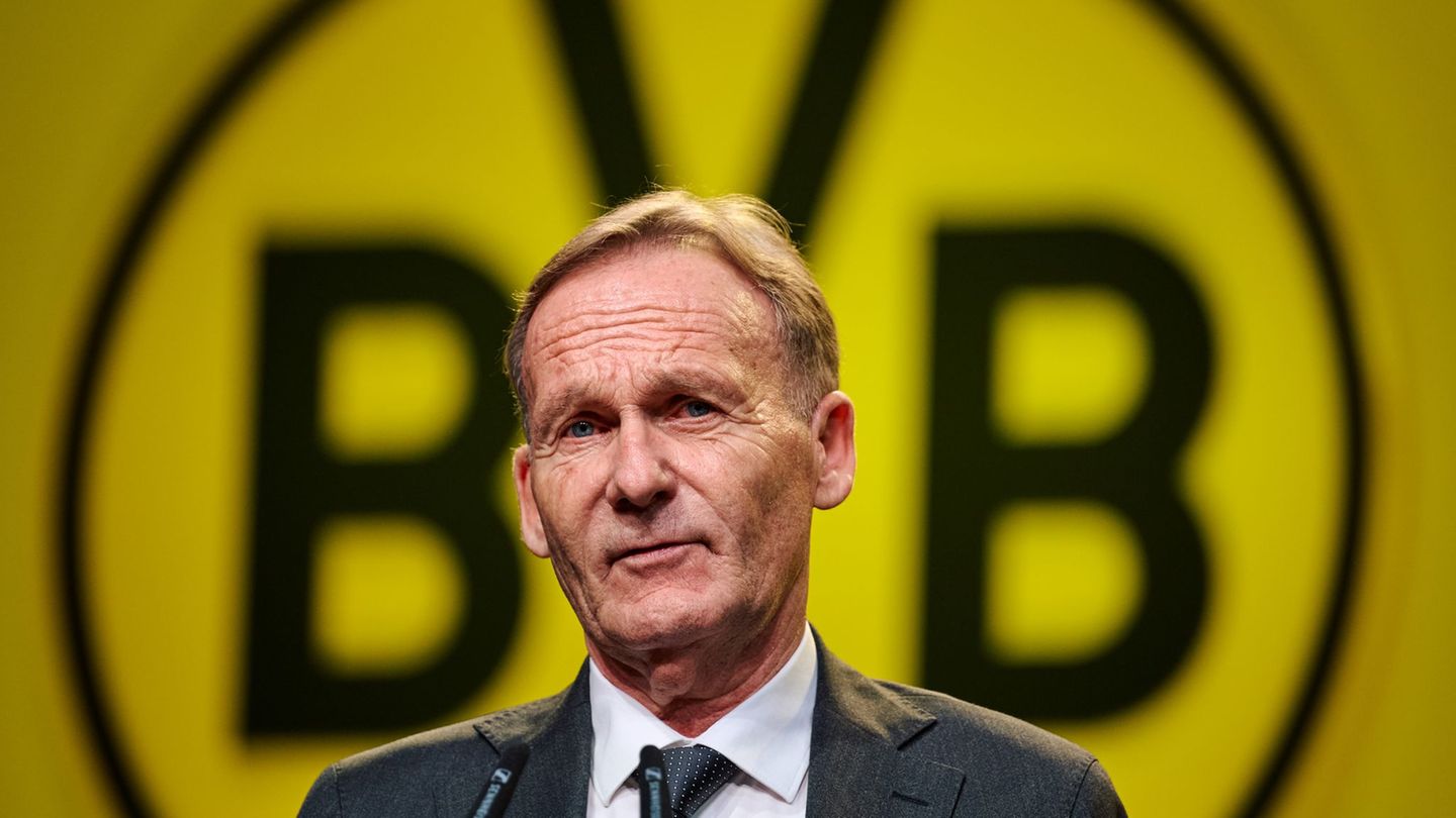 Hans-Joachim Watzkes Abschied aus der BVB-Geschäftsführung steht kurz bevor Foto: Bernd Thissen/dpa