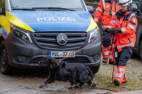 Bei der Suche nach dem Jungen kamen auch Spürhunde zum Einsatz. Foto: Stefan Sauer/dpa