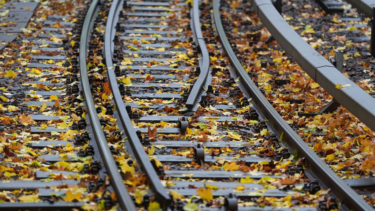 Ein Teilabschnitt der Hamburger U-Bahn-Linie U1 wird für mehrere Wochen gesperrt. (Archivbild) Foto: Marcus Brandt/dpa