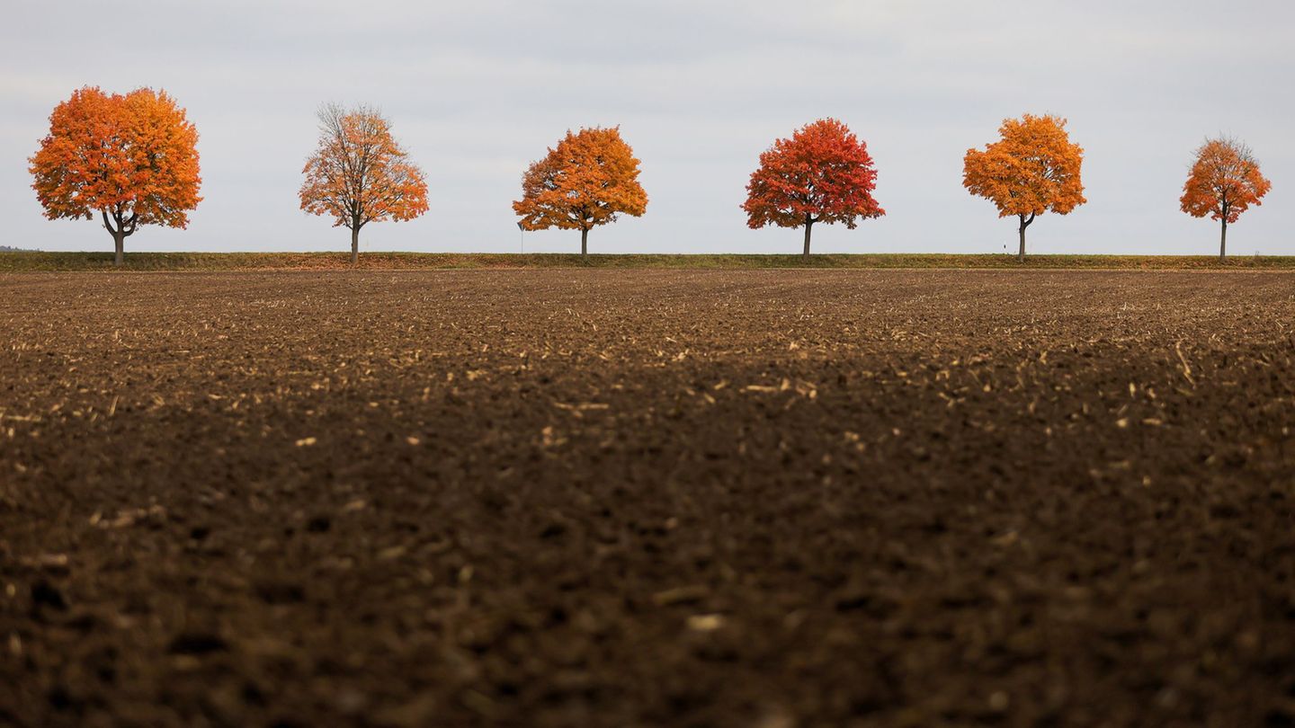 Herbstwetter: Wetter zu Wochenbeginn meist grau - vereinzelt Sonne möglich