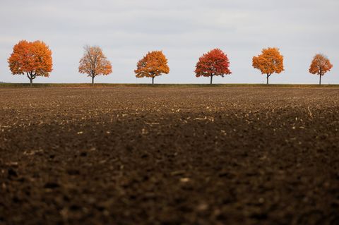 Zu Wochenbeginn bleibt es in Baden-Württemberg oft grau - zumindest am Himmel. Foto: Thomas Warnack/dpa