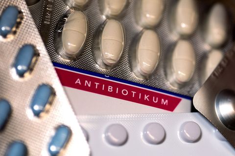 Die Resistenz von Bakterien gegen Antibiotika nimmt stark zu (Symbolbild) Foto: Monika Skolimowska/dpa