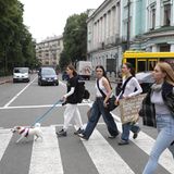 Verkehrsregeln Auto Straßenverkehr