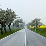 Verkehrsregeln Auto Straßenverkehr