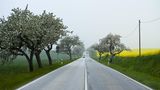 Verkehrsregeln Auto Straßenverkehr