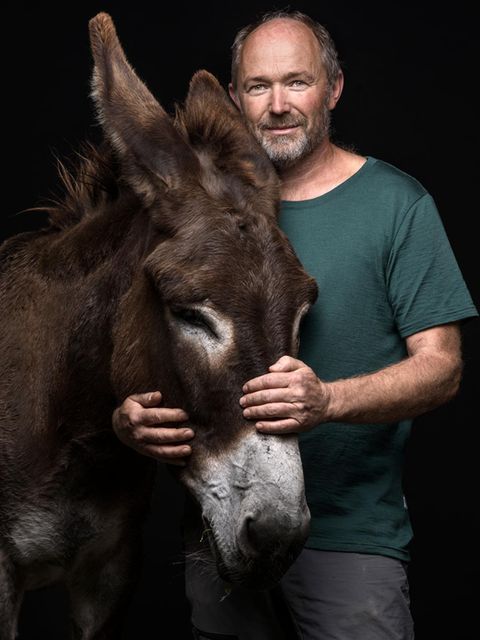 Schweiz: Portrait mit Mann und Esel