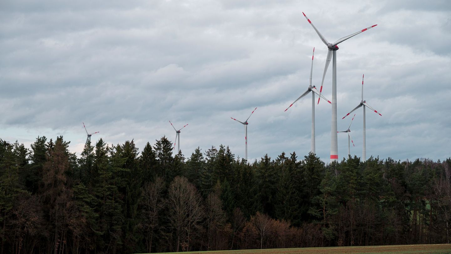 Windräder im staatseigenen Lindenhardter Forst in Oberfranken. (Archiv) Foto: Daniel Vogl/dpa