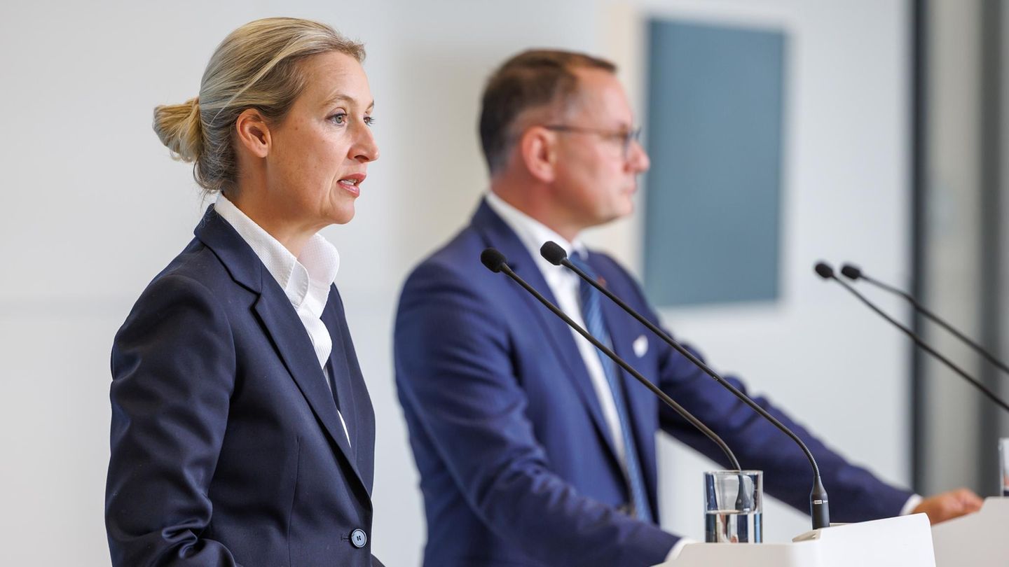 Konflikt um die Wehrpflicht: Alice Weidel und Tino Chrupalla