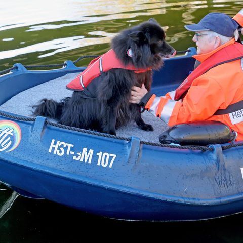 Auf einem blauen Boot fährt ein Suchhund in Güstrow über ein Gewässer