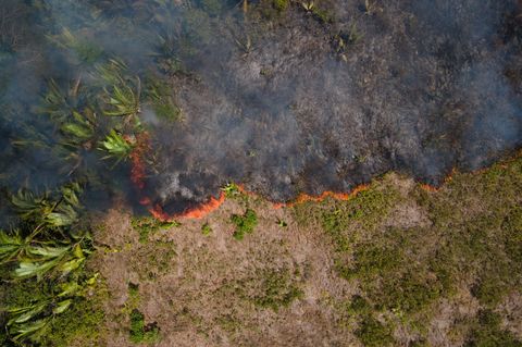 Flammen breiten sich in einem Amazonas-Gebiet aus. (Archivbild) Foto: Fernando Souza/ZUMA Press Wire/dpa