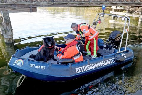 Spürhunde haben laut Polizei auf dem Inselsee am Stadtrand von Güstrow angeschlagen. Am Dienstagmorgen sollen Taucher in dem Ber