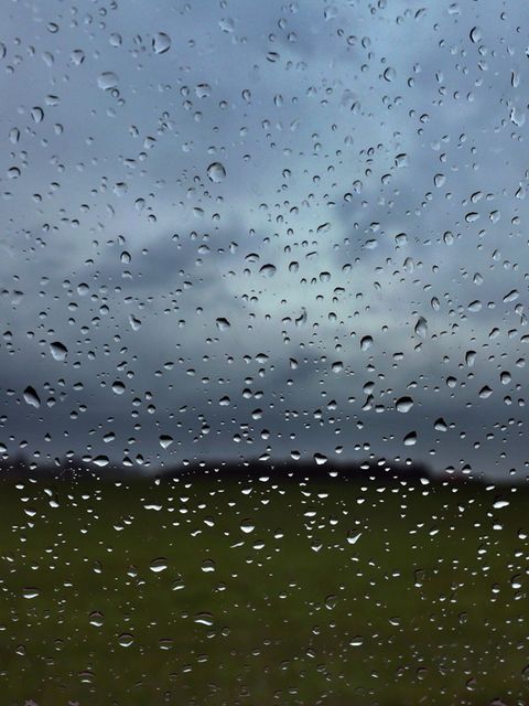 Das Wetter in Hessen bleibt grau und feucht bei milden Temperaturen. (Symbolbild) Foto: Karl-Josef Hildenbrand/dpa