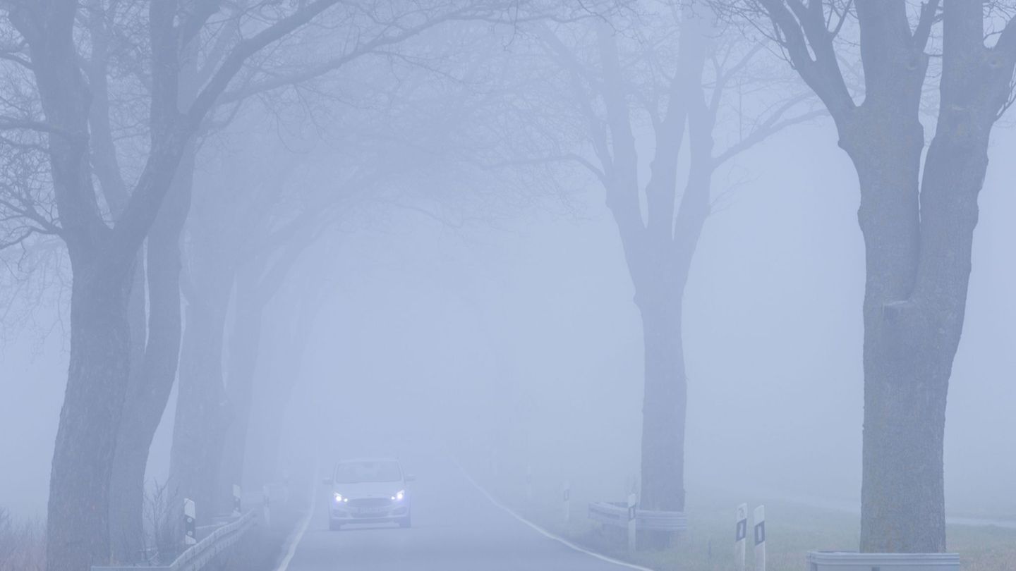 Der Herbst zeigt sich im Norden trüb und neblig mit starker Bewölkung und Sprühregen. (Symbolbild) Foto: Jens Büttner/dpa