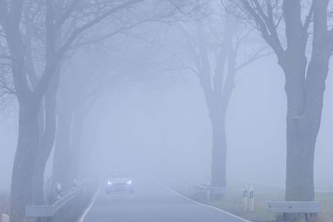 Der Herbst zeigt sich im Norden trüb und neblig mit starker Bewölkung und Sprühregen. (Symbolbild) Foto: Jens Büttner/dpa
