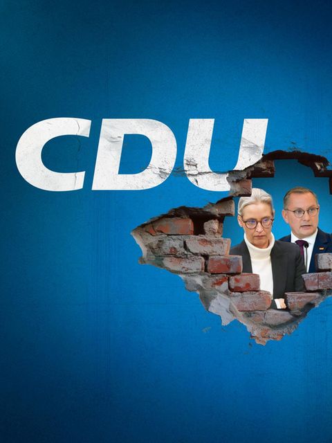 Hinter der CDU Brandmauer: Alice Weidel und Tino Chrupalla