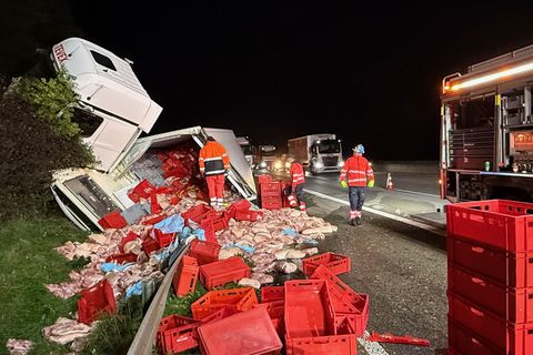 Der Lkw hatte rund 16 Kilo Fleisch geladen. Foto: Mike Seeboth/dpa