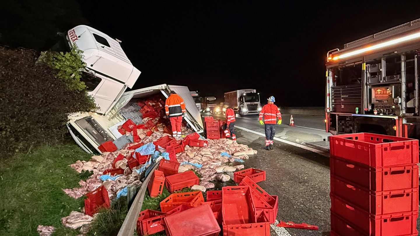 Der Lkw hatte rund 16 Kilo Fleisch geladen. Foto: Mike Seeboth/dpa