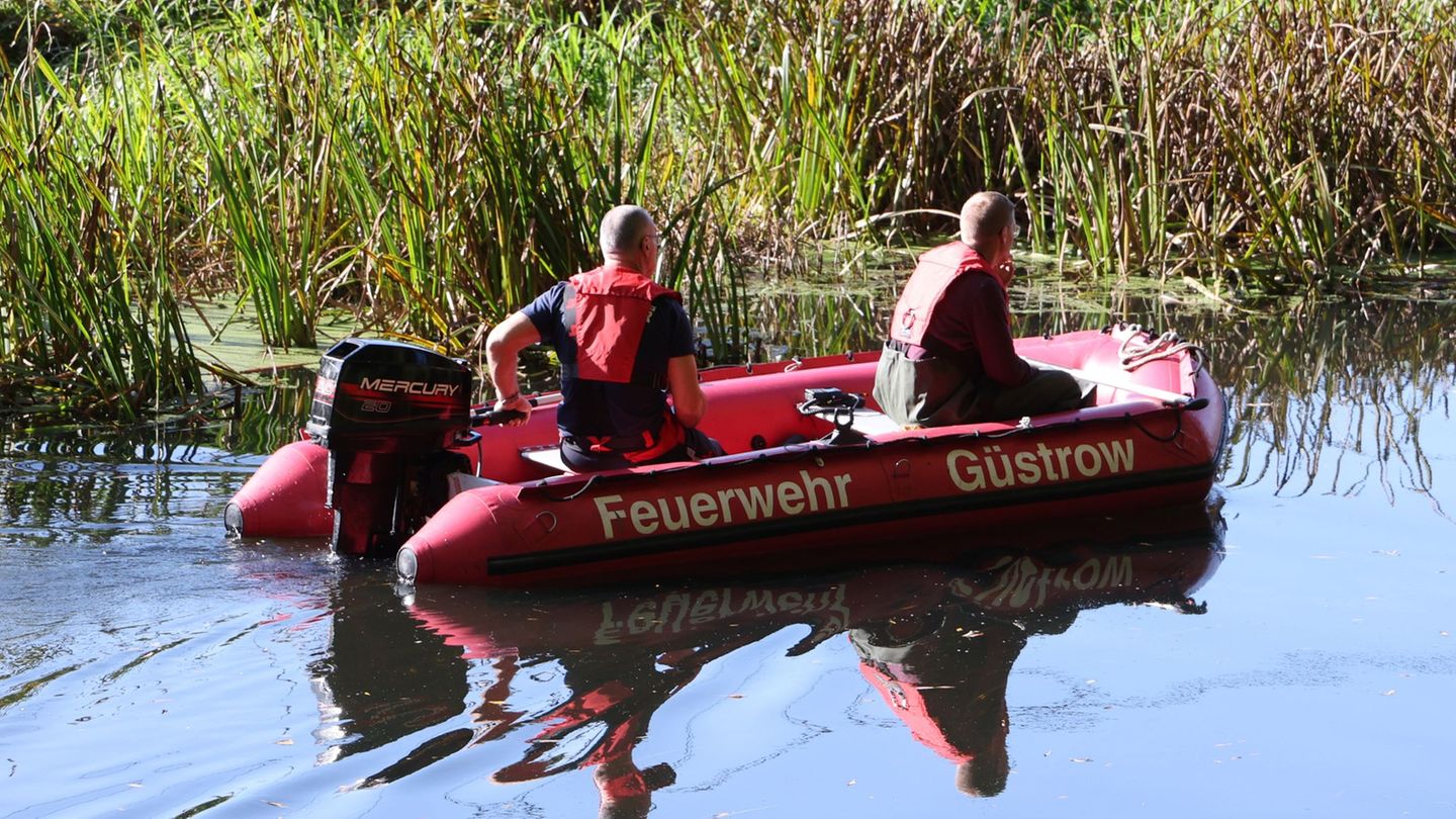 Polizei-Einsatz: Suche nach Fabian: Kinderleiche in Wald bei Güstrow gefunden