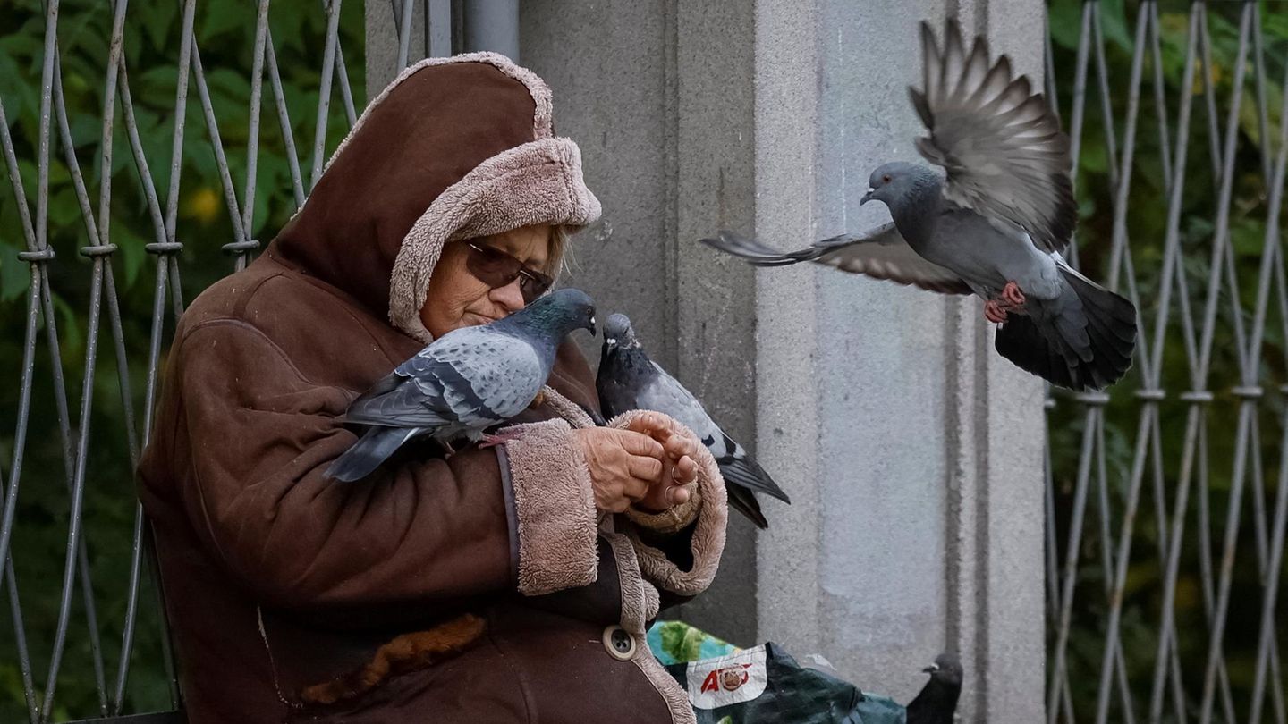 14. Oktober: Noch keine Friedenstauben Eine Ukrainerin füttert Tauben