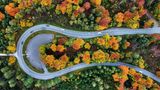 Eine Straße aus der Luft, umsäumt von herbstlich gefärbten Bäumen