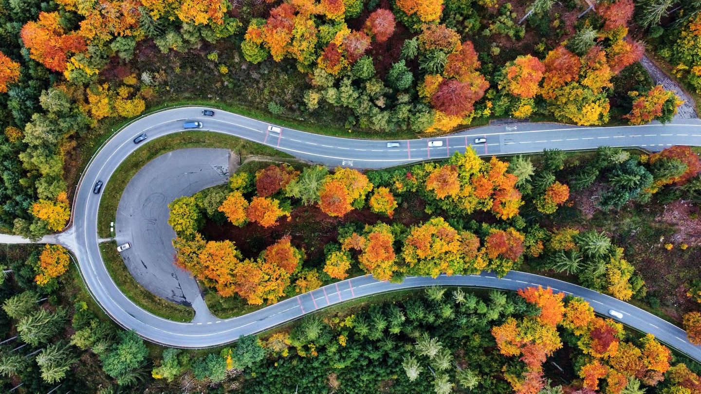 Eine Straße aus der Luft, umsäumt von herbstlich gefärbten Bäumen