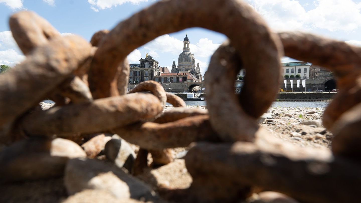 Sachsens Regierung erarbeitet eine Strategie zur Anpassung an den Klimawandel. (Archivbild) Foto: Sebastian Kahnert/dpa