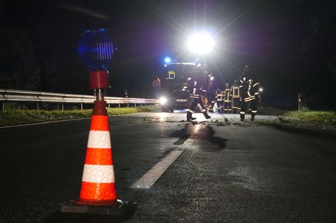 Beide Autofahrer werden verletzt, zwei Rinder sterben. (Symbolbild) Foto: Kay-Helge Hercher/dpa