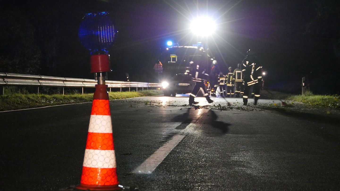 Beide Autofahrer werden verletzt, zwei Rinder sterben. (Symbolbild) Foto: Kay-Helge Hercher/dpa