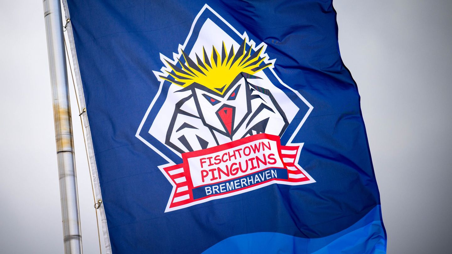 Die Fischtown Pinguins haben ihr letztes Gruppenspiel in der Champions League verloren Foto: Sina Schuldt/dpa