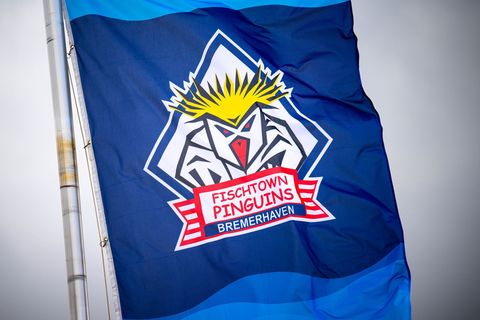 Die Fischtown Pinguins haben ihr letztes Gruppenspiel in der Champions League verloren Foto: Sina Schuldt/dpa