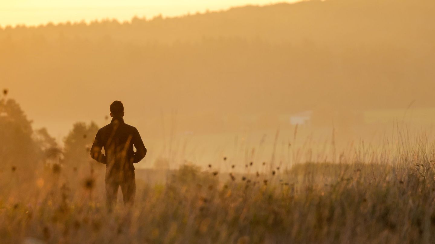 Herbstnebel bestimmt den Start in den Tag. Foto: Thomas Warnack/dpa