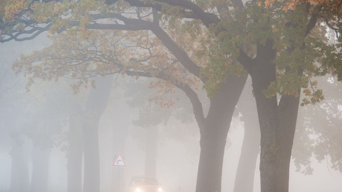 Am Morgen sorgt der Nebel teils für Sichtweiten unter 150 Metern. (Symbolbild) Foto: Patrick Pleul/dpa/dpa-tmn
