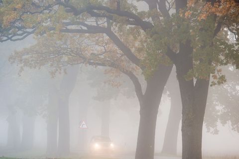 Am Morgen sorgt der Nebel teils für Sichtweiten unter 150 Metern. (Symbolbild) Foto: Patrick Pleul/dpa/dpa-tmn
