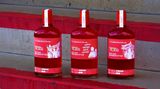 1. FC Union Berlin Dry Gin by Berliner Brandstifter