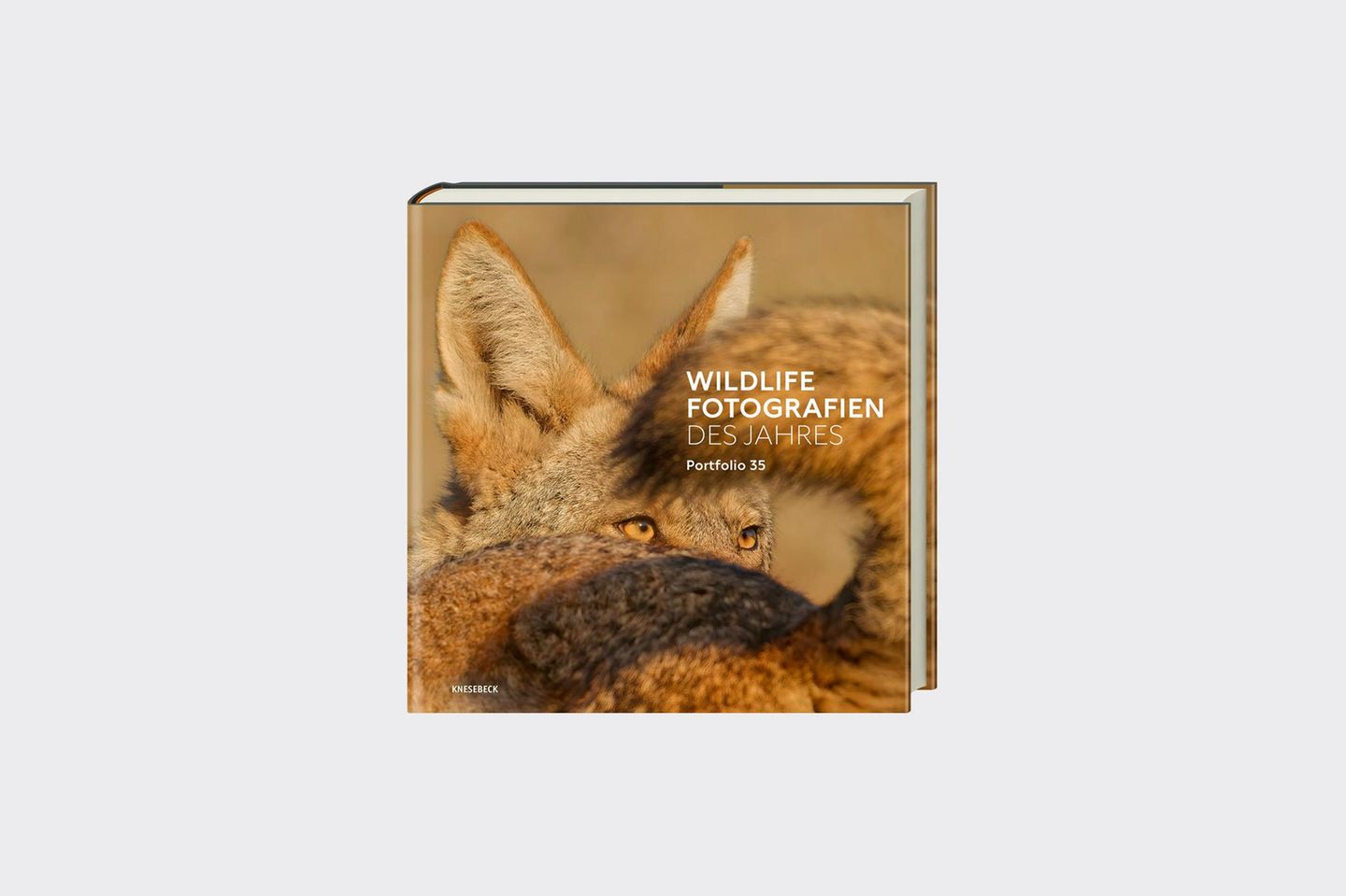 Buchtipp Buchcover
