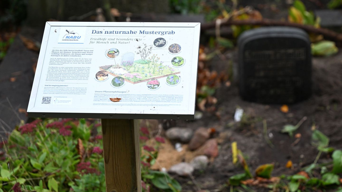Naturnahes Mustergrab in Berlin. Foto: Lilli Förter/dpa