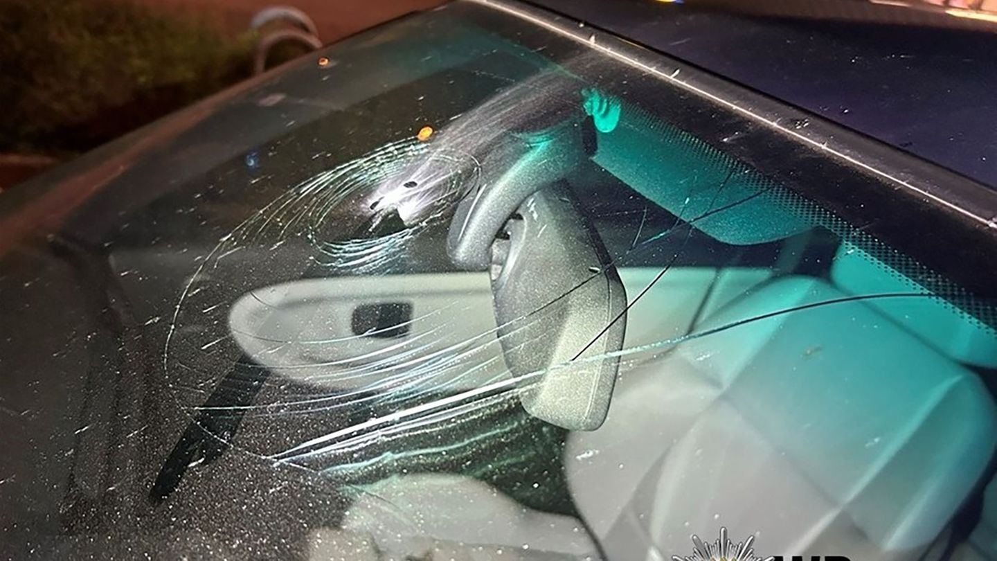 Insgesamt vier Geschädigte sollen sich bei der Polizei gemeldet haben. Foto: -/Polizeipräsidium Westpfalz/dpa