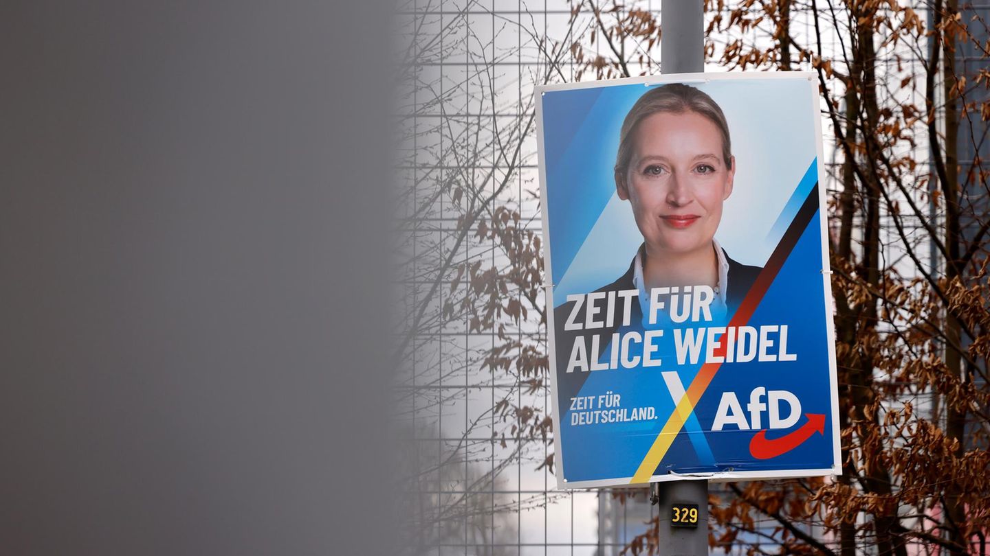 AfD-Chefin Alice Weidel AfD-Chefin Alice Weidel auf einem Wahlplakat in Köln