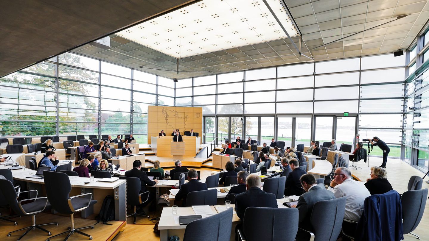 Der Landtag in Schleswig-Holstein hat sich mit der AfD auseinandergesetzt. Foto: Frank Molter/dpa