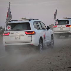 Autos des Roten Kreuzes im Gazastreifen. Die Hilfsorganisation soll weitere tote Geiseln der Hamas nach Israel bringen