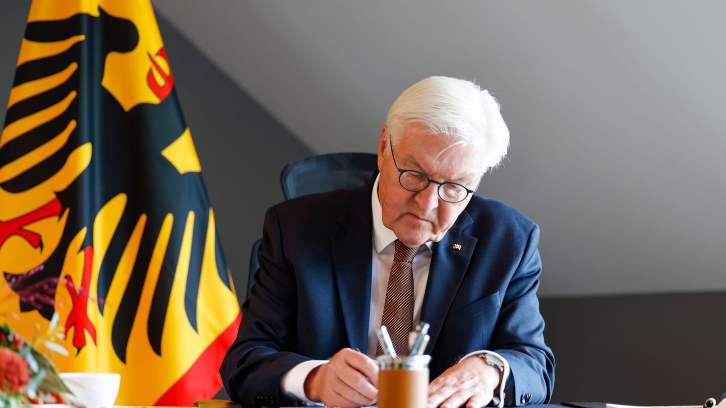 Steinmeier verleiht in Andernach Verdienstorden an engagierte Bürger (Archivbild) Foto: Thomas Banneyer/dpa