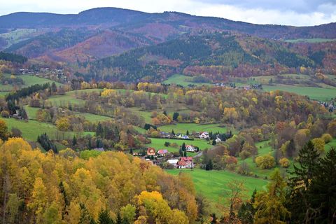 Thüringen Forst startet eine großangelegte Pflanzaktion: Bis zum Frühjahr sollen 1,6 Millionen neue Bäume in den Boden kommen. (