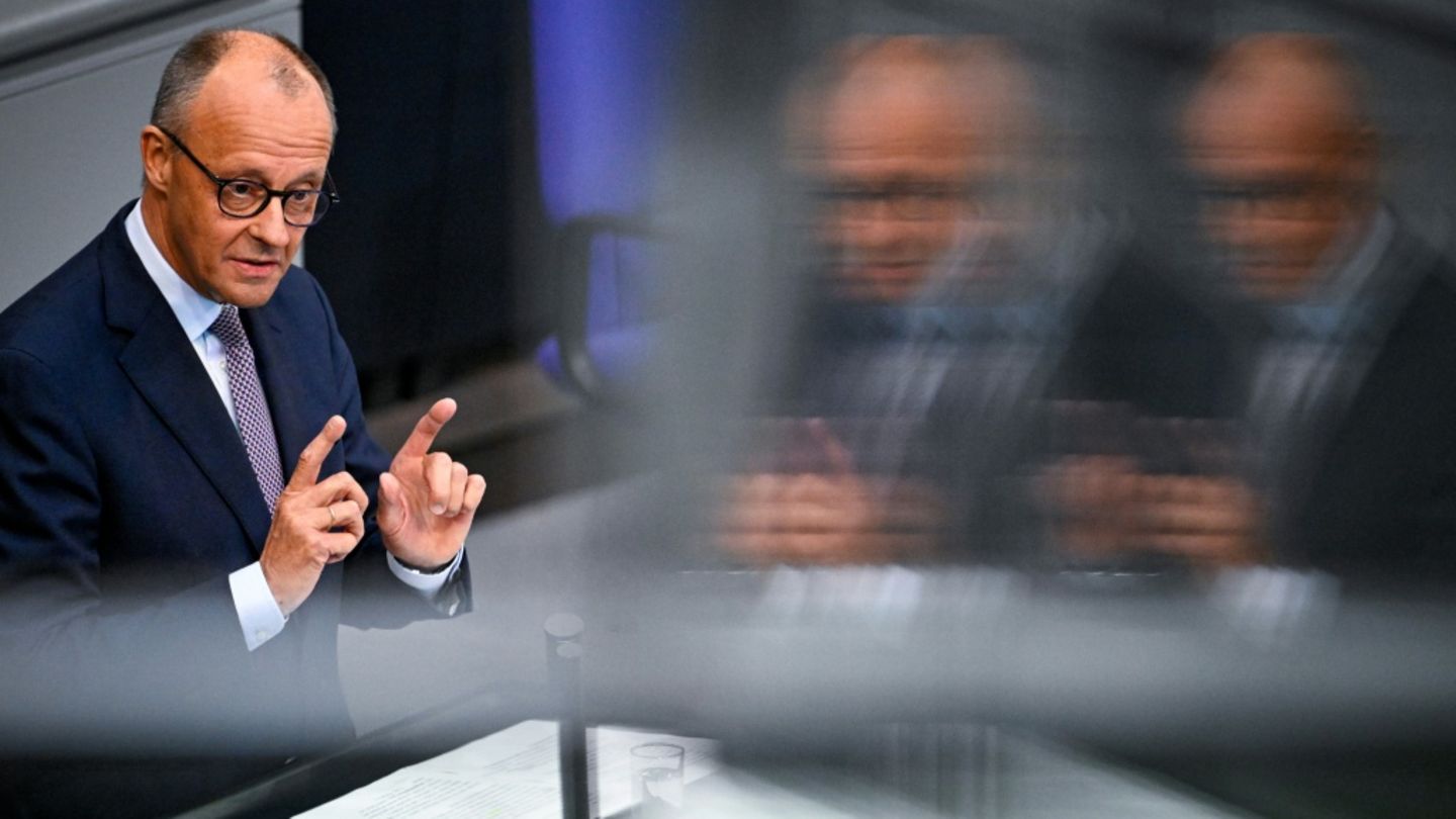 Merz im Bundestag