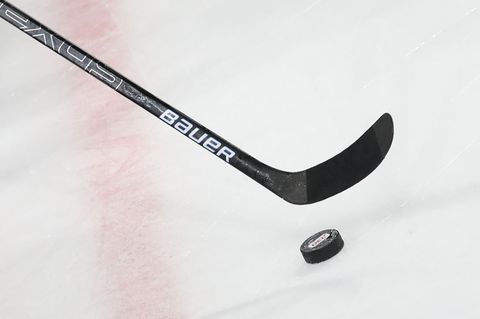 Die Nürnberg Ice Tigers haben noch mal personell nachgelegt. (Archivbild) Foto: Daniel Karmann/dpa