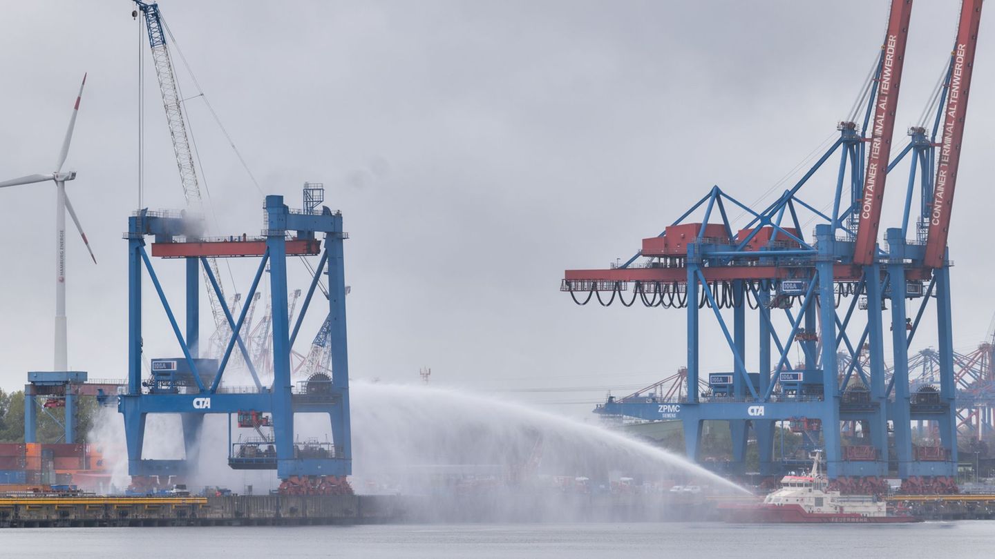Die Feuerwehr ist auf einem Container-Terminal in Hamburg mit den Löscharbeiten beschäftigt. Foto: Marcus Golejewski/dpa