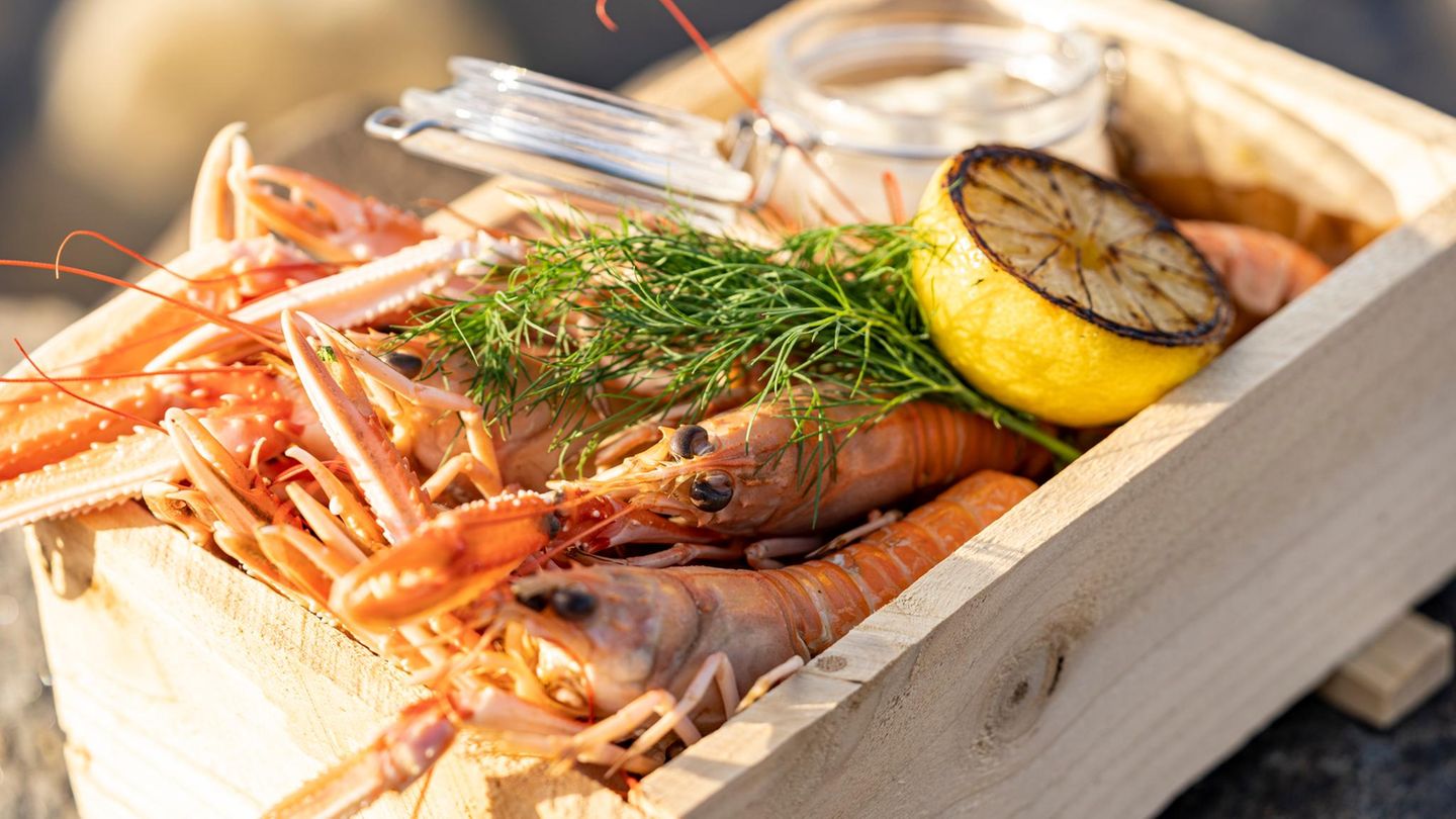 Fischessen in Varberg. Im Fischerdorf Träslövsläge, einem der wichtigsten Anlandeorte für Meereskrebse in Schweden, lassen sich Fisch und Meeresfrüchte direkt aus dem Meer frisch am Hafen genießen. Die Inhaber vom Restaurant "Joel‘s Brygga" kaufen den Fisch direkt im Hafenbecken von zwei Fischern aus dem Dorf