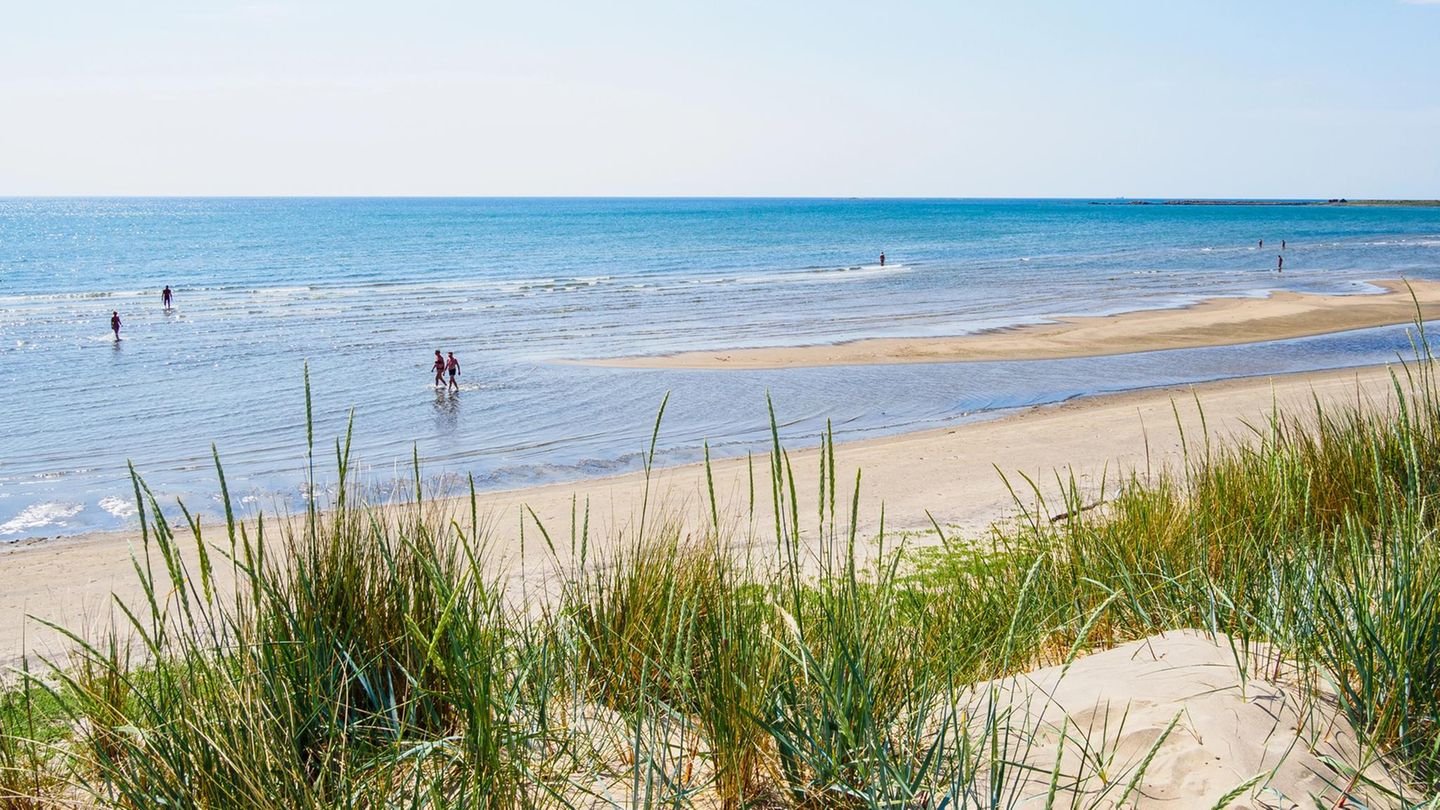 Lange Strandspaziergänge. Sehr lange Strandspaziergänge. Zwischen Skummeslövsstrand und Mellbystrand bei Laholm geht es zwölf Kilometer immer geradeaus am Wasser entlang. Es ist der längste zusammenhängende Strand Schwedens. Mit eigenen Abschnitten für Haustiere oder FKK-Freunde