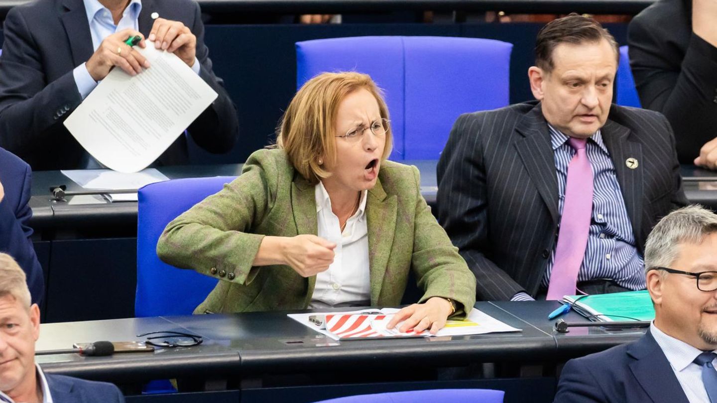 Die AfD-Fraktion im Bundestag