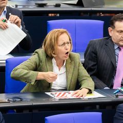 Die AfD-Fraktion im Bundestag